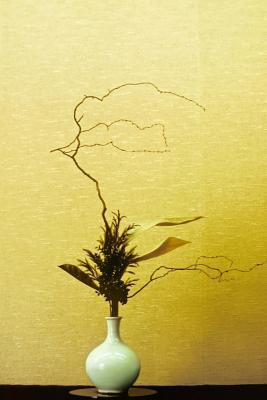 Full Download Ikebana Zen Floral Arrangement Journal: 150 Page Lined Notebook/Diary -  file in ePub