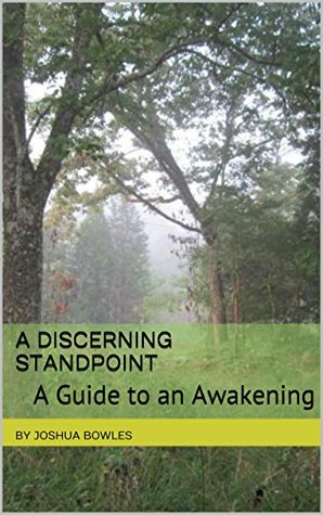 Full Download A Discerning Standpoint: A Guide to an Awakening - Joshua Bowles file in ePub