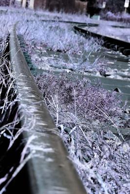 Read Overgrown Railroad Train Tracks Journal: Take Notes, Write Down Memories in This 150 Page Lined Journal -  | PDF