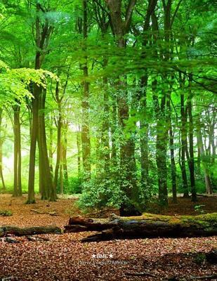 Download Prayer Journal Planner: A Guided Prayer Journal Planner -  file in PDF