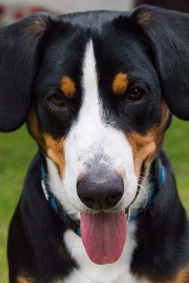 Full Download The Entlebucher Mountain Dog Journal: 150 Page Lined Notebook/Diary -  file in PDF