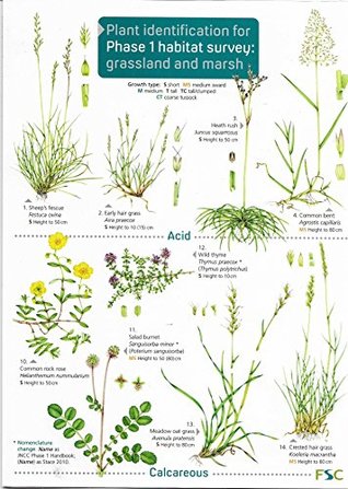 Read Online Plant Identification for Phase 1 Habitat Survey: Grassland and Marsh - Hilary Wallace | ePub