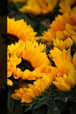 Full Download Artsy Journal: Dotted Bullet/Dot Grid Composition Notebook - Sunflower, 6 X 9 -  file in PDF