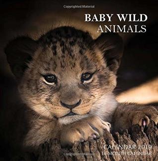 Download Baby Wild Animals Calendar 2019: 16 Month Calendar -  | PDF