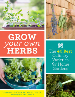 Full Download Grow Your Own Herbs: The 40 Best Culinary Varieties for Home Gardens - Susan Belsinger | ePub