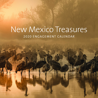 Read New Mexico Treasures: 2020 Engagement Calendar: 2020 Engagement Calendar - Museum of New Mexico Press | ePub