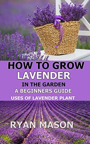 Full Download How to Grow Lavender in the Garden: A Beginners Guide   Uses of Lavender Plant - Ryan Mason | ePub