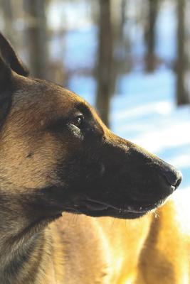 Read Online Belgian Malinois Training Journal: Socializing, Obedience, Behavioral, Command Training Journal - Pebble Stanzon file in PDF